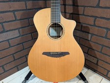 Breedlove ac250 syn for sale  Whitesboro