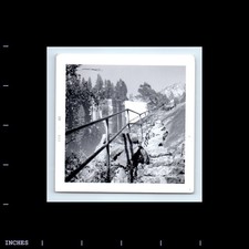 Old square photo for sale  Grass Valley