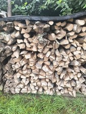 Brennholz kaminholz birke gebraucht kaufen Brennholz kaminholz birke gebraucht kaufen  Ochsenhausen