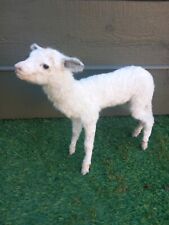 Taxidermy domestic sheep for sale  HARTLEPOOL