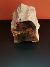 Versteinertes holz seite gebraucht kaufen  Frankfurt am Main