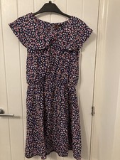 Blue pink tulip for sale Blue pink tulip for sale  TELFORD