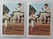 Karate 1967 chocolat d'occasion  Davézieux