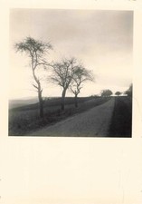 Ancienne photographie paysage d'occasion  Nogent-sur-Marne