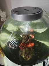Biorb 30l aquarium for sale  DERBY