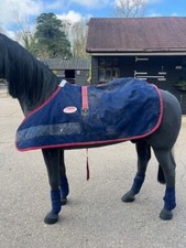 Weatherbeeta adjustable foal for sale  WALTHAM ABBEY