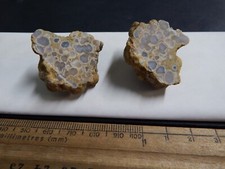 Lote de cristal congolmerado 152ct forrado de opala montey ágata fatiada Shuswap B.C Canadá comprar usado  Enviando para Brazil