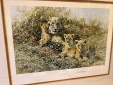 Fantastic david shepherd for sale  LINCOLN
