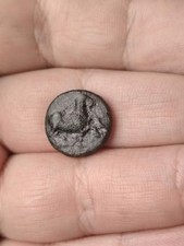 Grecque maroneia cheval d'occasion Grecque maroneia cheval d'occasion  Montargis