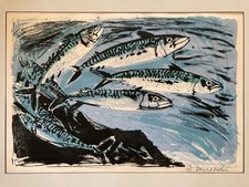 David koster 1926 for sale  LONDON
