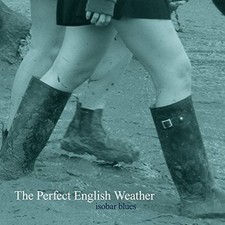 Perfect english weather usato  Spedire a Italy