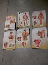 Vintage poster rilievo usato  Savignano sul Panaro