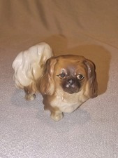 pekinese for sale pekinese for sale BARROW-IN-FURNESS