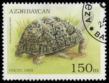 Azerbaijan 522 leopard d'occasion  Expédié en Belgium