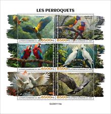 2025 guinea parrots d'occasion  Brunoy