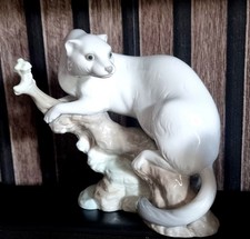 Rare early nao for sale  DONCASTER