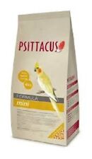 Psittacus estrusi piccoli usato  Aprilia