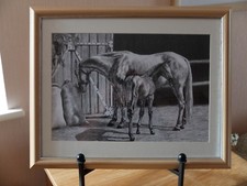 Black white sketch for sale  BEXHILL-ON-SEA