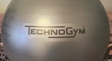 Technogym wellness ball usato  Italia