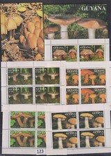 LL GUYANA 1991 - SEM MARCA DE CHARNEIRA - COGUMELOS - FLORA, usado comprar usado  Enviando para Brazil