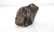 Wedge shaped chondrite for sale  Gainesville