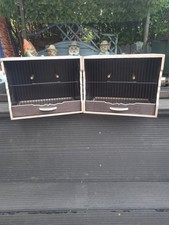 Goldfinch mule canary for sale  LONDON