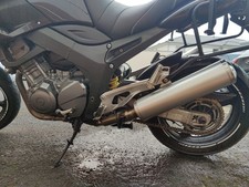 Yamaha tdm 900 gebraucht kaufen  Springe