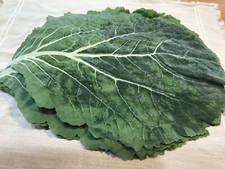 Set simulation cabbage for sale  Ashville