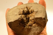 Septaria baryte drome d'occasion  Forcalquier