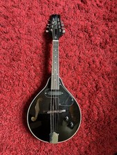 Harley benton mandolin for sale  New York