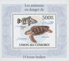 Indian ocean endangered for sale  Round Top