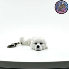 Great pyrenees dog for sale  Las Vegas