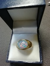 Echter ring pal gebraucht kaufen  Bad Hönningen