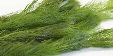 Myriophyllum spicatum oxygenat for sale  MARKET RASEN