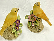 Pair yellow canary for sale  Des Moines