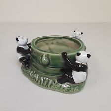 Asian panda bear for sale  Marietta