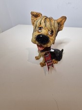 Little paws yorkshire for sale  WARWICK