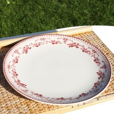Round dish family d'occasion  Expédié en Belgium