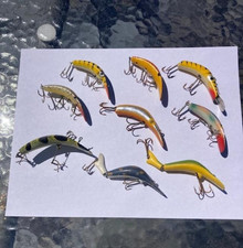 Lot flatfish assortment for sale  Painesville