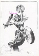 Cartes postales pin d'occasion  Niort