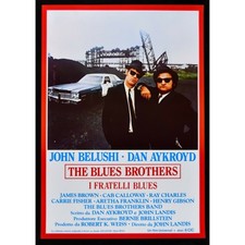 Manifesto the blues usato  Nocera Superiore