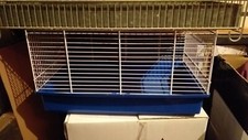 Gabbie per uccelli usato  Tirano