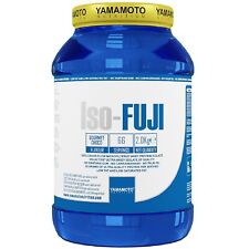 Iso fuji yamamoto usato  Milano