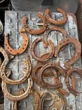 Rustic horseshoe real for sale  STAFFORD