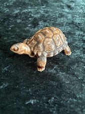 Wade mother tortoise for sale  LINGFIELD