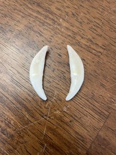 Coyote canine teeth for sale  Efland