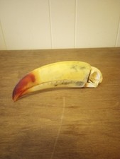 Keel billed toucan for sale  Athens