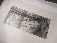 Antique vellum engraving for sale  Montpelier