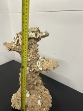 dry reef rock for sale dry reef rock for sale IPSWICH