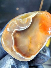 Lake superior white for sale  Saint Paul